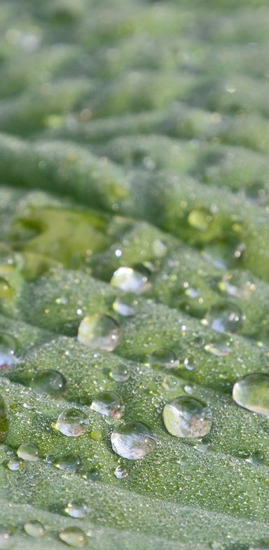 Cranio Kranmesberger - Craniosacrale Körperarbeit